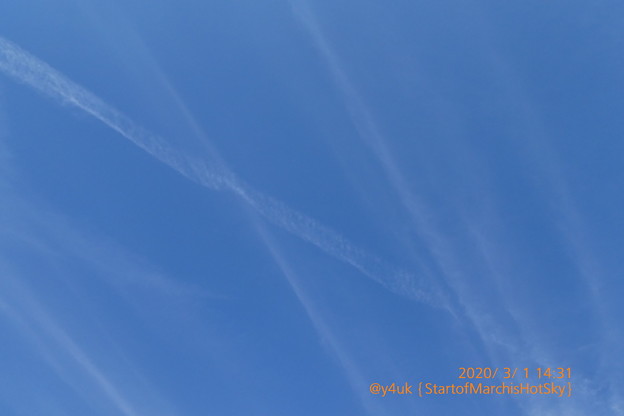 Photos: 3.1Start of March is Hot Blue Sky[Jet stream]〜暑い3月のスタート飛行機雲が沢山残ってた大空に描く白線が奏でるG線上のコロナウイルスはクラシックには勝てない