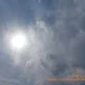 Photos: 3.22 Day of Strong wind & Hot sun cloud sky〜30℃急すぎる暑さ次日15℃(~_~;)強風も春の風と思えず台風と新型コロナにホコリ舞う異常気象＊東京もぅ桜満開