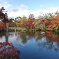 写真: 永観堂放生池の紅葉