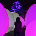 Photos: 高知城光の祭り