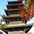 写真: 紅葉と五重塔