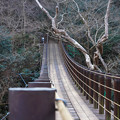 汐見滝吊橋2