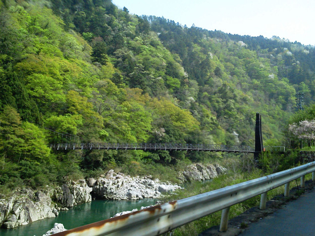 写真: R41-04 飛騨川に架かる吊橋