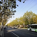 芙蓉江路　バスと街路樹と空