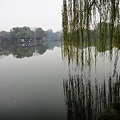 写真: 杭州　西湖　三譚月の島の柳