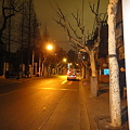 上海　夜の愚園路