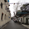 写真: 江蘇路×愚園路付近の小道 (13)