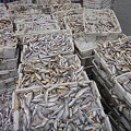 写真: 漁港市場 (41)