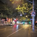 写真: 上海の夜 (8)
