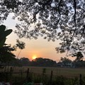 2020大晦日のヤンゴンの早朝 (15)