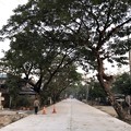 1月4日のヤンゴンの朝 (12)