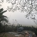 写真: 霧深い2月12日のヤンゴンの朝 (15)