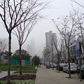 写真: 冬空の上海　香港プラザもかすんでますッ