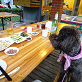 写真: 温州私房海鮮麺のお店と物ほしそうなMOMO