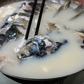 申福飯店　魚頭鍋の魚の頭
