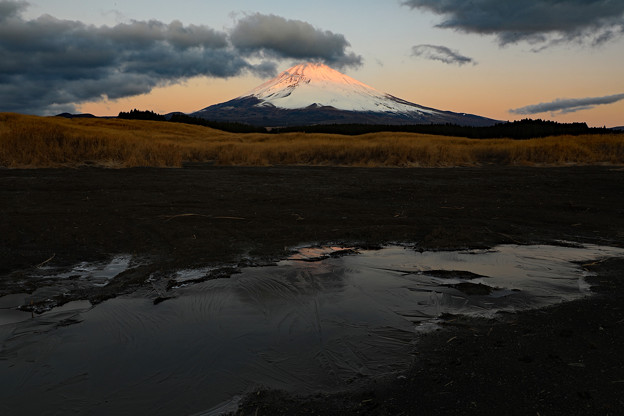 写真: 正月富士