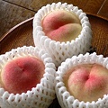 写真: 岡山土産の桃