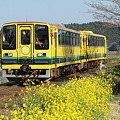 写真: いすみ鉄道　ムーミン列車3