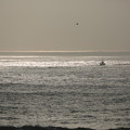写真: 朝の海