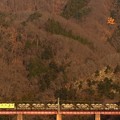 写真: 冬至の日　〜秩父鉄道〜　４カット