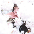 写真: 桜の中の私