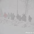 写真: 吹雪の中を走る
