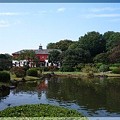 20081011小石川植物園09
