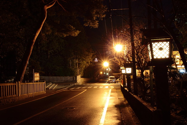 2015年12月30日 弥彦神社前通り