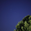 写真: 2016年2月 鳥屋野潟公園で見上げたオリオン座