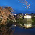 写真: お城と桜