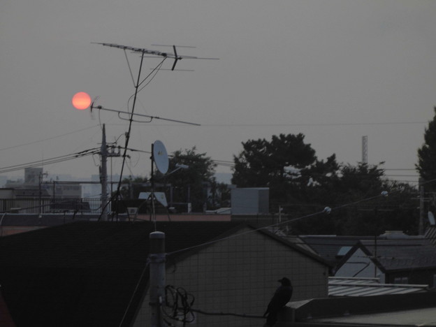 写真: 夜明け_赤い太陽とカラス_2015.10.21.-01b