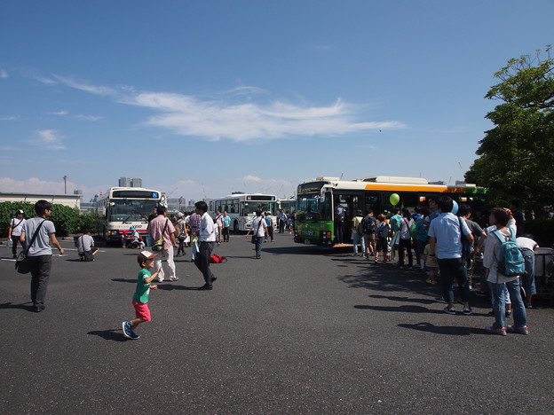 写真: バスまつり2015イン晴海
