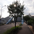 写真: 平成橋
