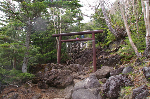 写真: 八合目滝尾神社の鳥居