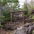 八合目滝尾神社の鳥居