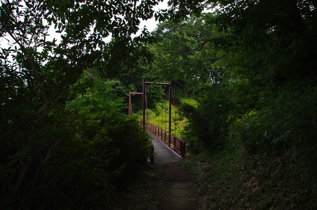 織姫公園の吊り橋