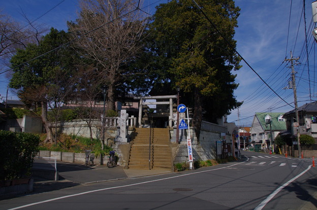 写真: 矢切神社