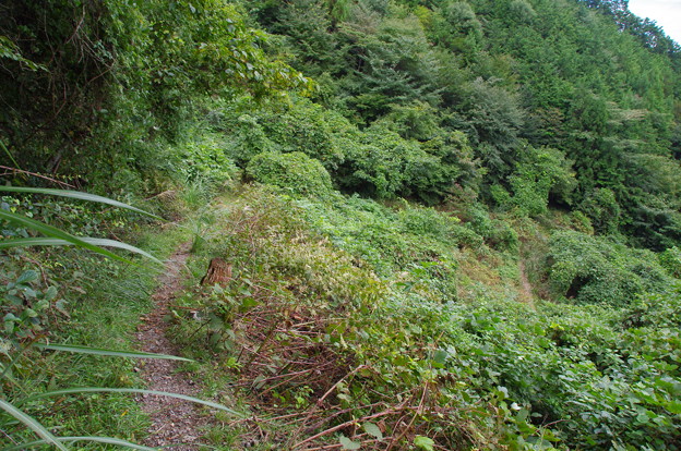 写真: 花立松ノ峠から黒山三滝へ