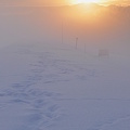 写真: 霧の中の太陽2
