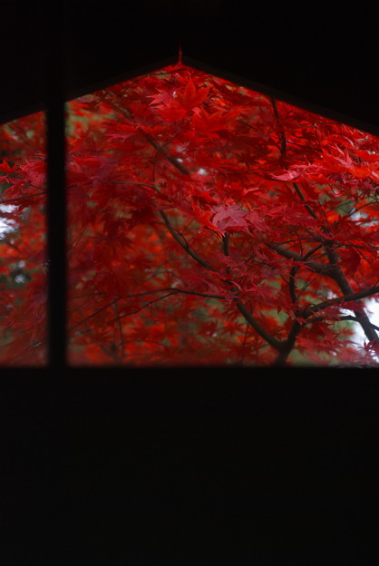 写真: 秋窓
