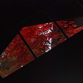 写真: 秋窓２