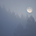 写真: 霧の中の朝日