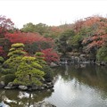 写真: 秋の日本庭園