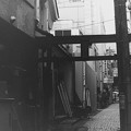 写真: TORII GATE IN JIYUGAOKA