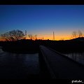 写真: 夜明けの橋