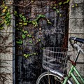 写真: 壁際の自転車