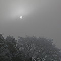 写真: 雪の陽