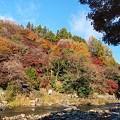 香嵐渓の紅葉その３
