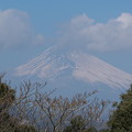 眠たげな富士山