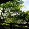 写真: 臥龍廊からの眺望:緑の永観堂15